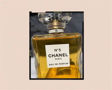 chanel bumber 5|what does chanel no 5 smell like.